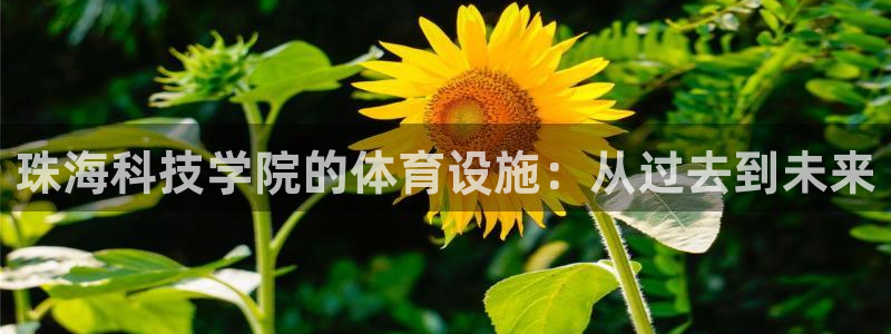 意昂4娱乐是那个系列的台子：珠海科技学院的体育设施：
