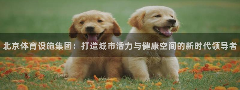 意昂4集团logo：北京体育设施集团：打造城市活力与