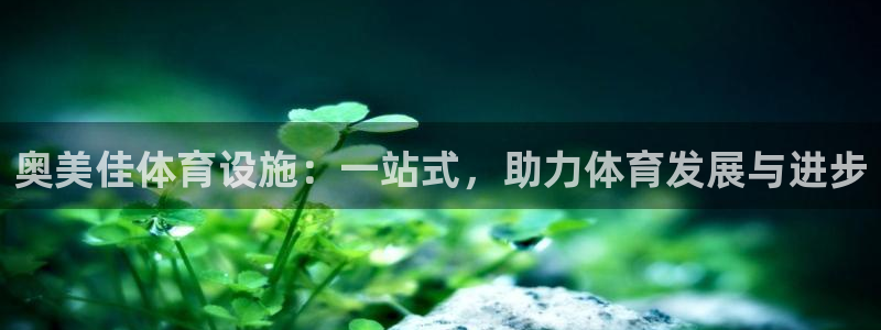 意昂4娱乐首页官网下载：奥美佳体育设施：一站式，助力