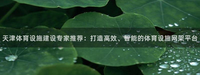 意昂体育4软件：天津体育设施建设专家推荐：打造高效、