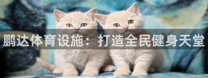 意昂体育4平台假的吗是真的吗吗：鹏达体育设施：打造全
