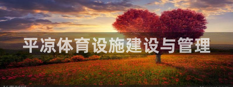 意昂体育4：平凉体育设施建设与管理