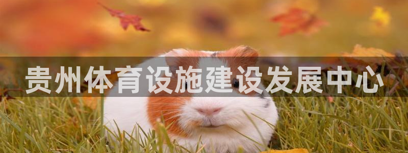 意昂4娱乐网站：贵州体育设施建设发展中心