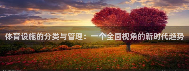 海南意昂体育4发展怎么样：体育设施的分类与管理：一个