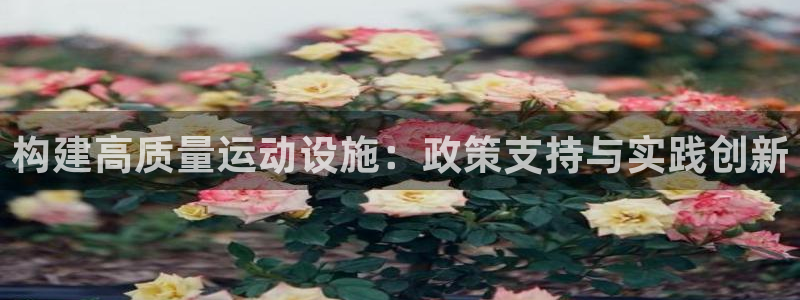 意昂集团官网：构建高质量运动设施：政策支持与实践创新