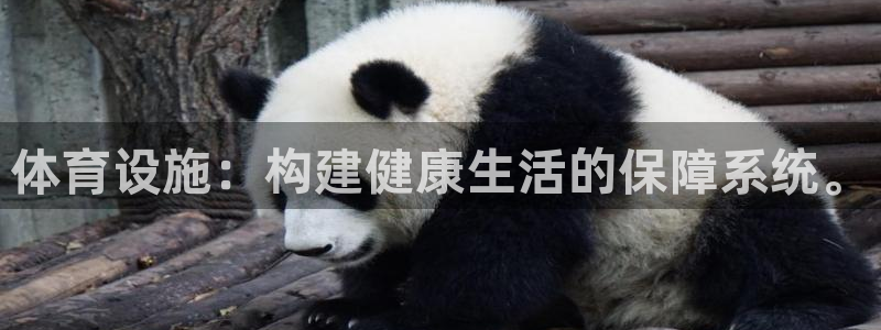 意昂4官网：体育设施：构建健康生活的保障系统。