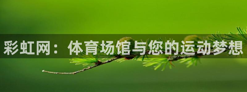意昂4集团：彩虹网：体育场馆与您的运动梦想